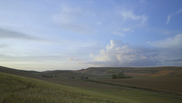 Imagen de ejemplo que muestra la captura de fotogramas de video de un paisaje de pradera